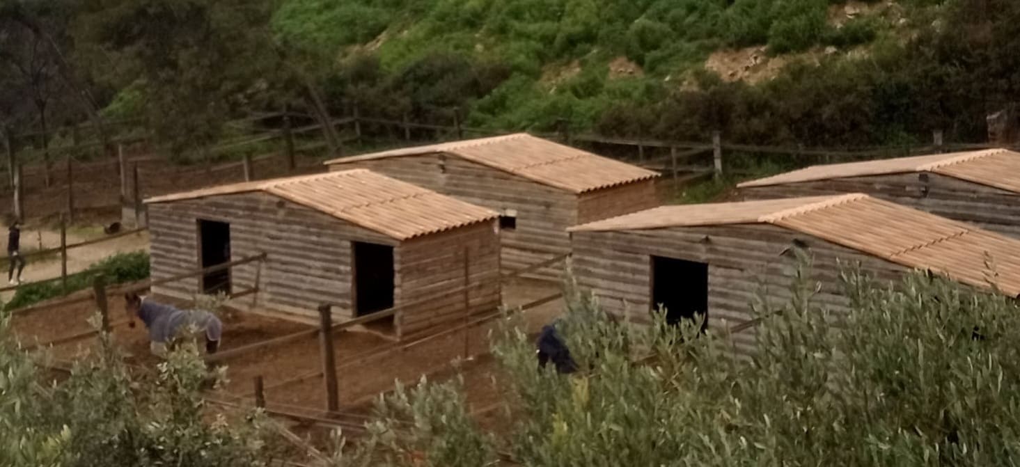Abris extérieurs pour poneys