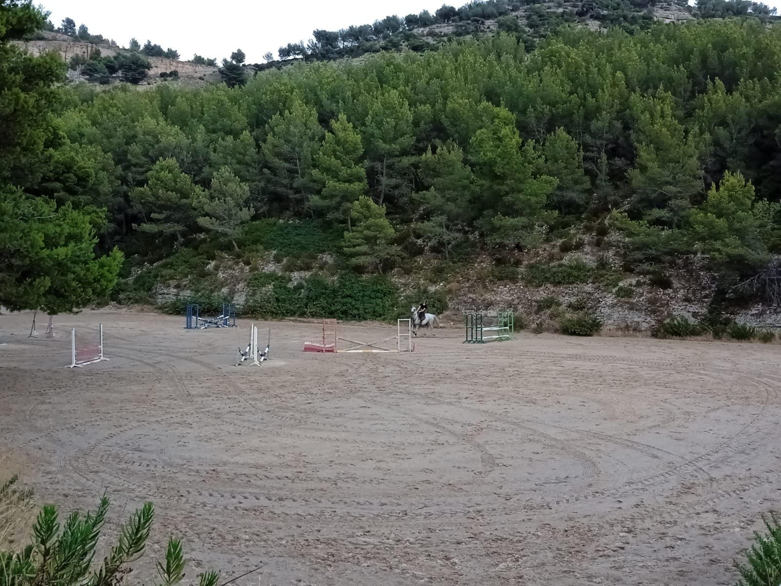 Travail à cheval sur la carrière