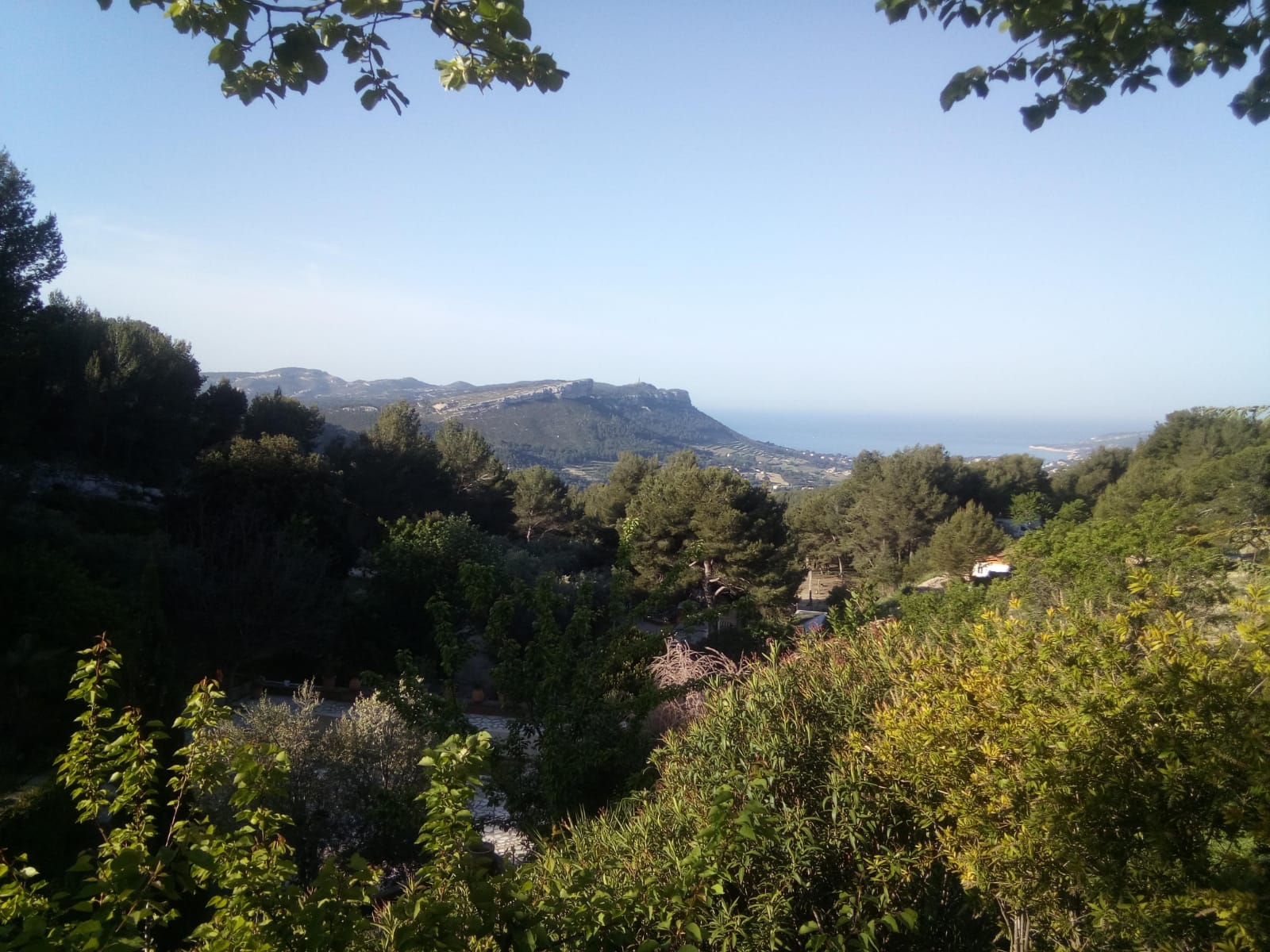 Vue panoramique sur les collines et la mer depuis l'Écurie Massardo à Cassis